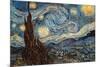 Starry Night, c. 1889-Vincent van Gogh-Mounted Poster