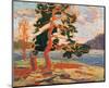 The Pine Tree-Tom Thomson-Mounted Premium Giclee Print