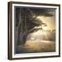 No Place To Fall-William Vanscoy-Framed Art Print