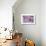 Cherry Blossoms I-Donald Paulson-Giclee Print displayed on a wall