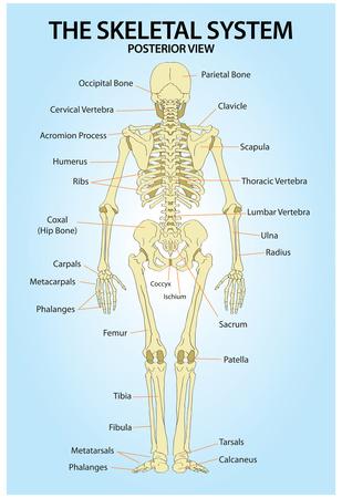 Poster, , small