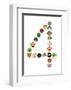 Four-null-Framed Giclee Print