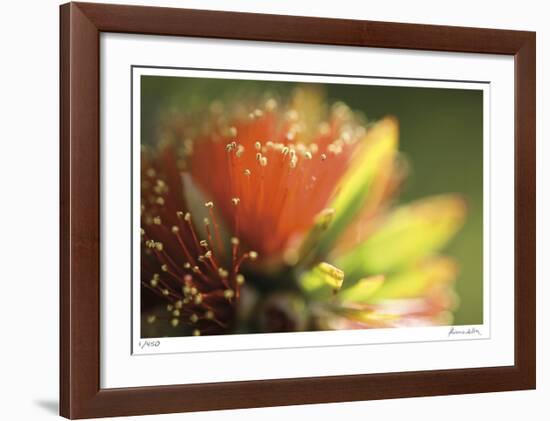 Floral Elements 1-Florence Delva-Framed Giclee Print