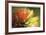 Floral Elements 1-Florence Delva-Framed Giclee Print