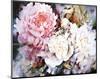 Peonies-David Maddern-Mounted Art Print