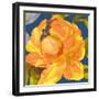 Night Flower I-Sandra Jacobs-Framed Giclee Print