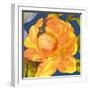 Night Flower I-Sandra Jacobs-Framed Giclee Print