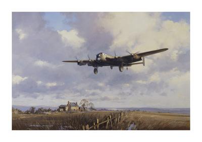 Limited Edition, , small