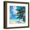 Cool Breeze-Rick Novak-Framed Art Print