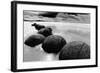 Beach Horizon, New Zealand-null-Framed Art Print