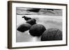 Beach Horizon, New Zealand-null-Framed Art Print