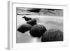 Beach Horizon, New Zealand-null-Framed Art Print