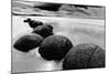 Beach Horizon, New Zealand-null-Mounted Art Print