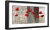 Country Poppies-Jenny Thomlinson-Framed Art Print