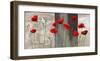 Country Poppies-Jenny Thomlinson-Framed Art Print