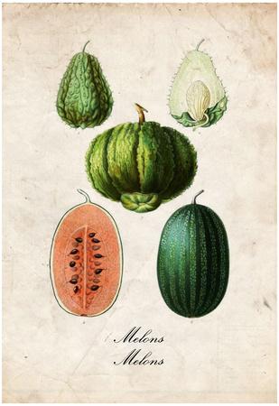 Poster, , small