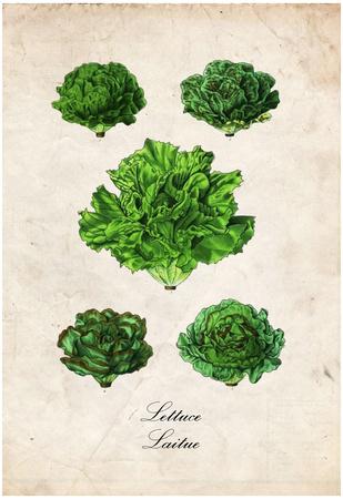 Poster, , small