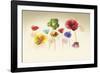 Poppy Panorama-Andreas Stridsberg-Framed Giclee Print