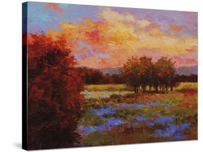 Stretched Canvas Print, , small