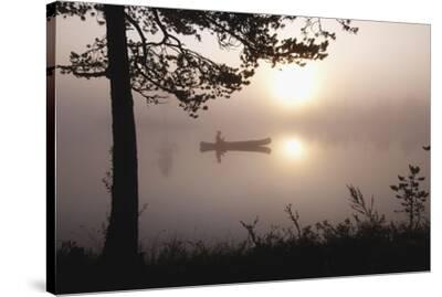 Stretched Canvas Print, , small