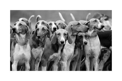 Premium Giclee Print, , small