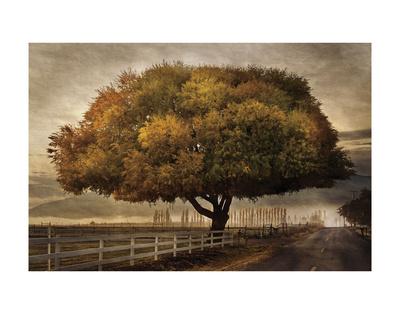 Art Print, , small