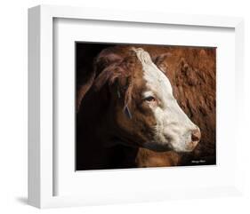 Cow #3-Barry Hart-Framed Art Print