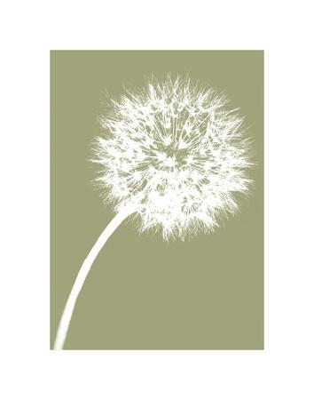 ポスター アート Dandelion Tilt（ジェニー クラフト） 額装品 アルミ製ハイグレードフレーム Dandelion Tilt (khaki)\u0027 Art - Jenny Kraft |