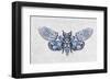 Fly Away-Jennette Brice-Framed Art Print