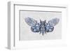 Fly Away-Jennette Brice-Framed Art Print