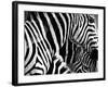 Mirage - Detail-Bobbie Goodrich-Framed Giclee Print