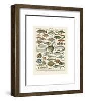 Poissons I-Adolphe Millot-Framed Art Print