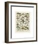 Poissons I-Adolphe Millot-Framed Art Print