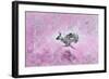 Fly with Hare-Claire Westwood-Framed Art Print