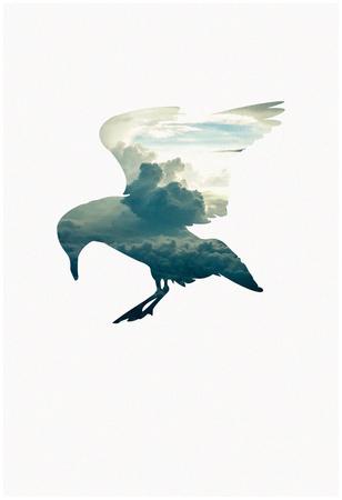 Poster, , small