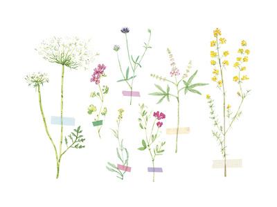 Giclee Print, , small