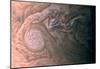Jupiter Picture (NASA Juno Mission)-null-Mounted Poster