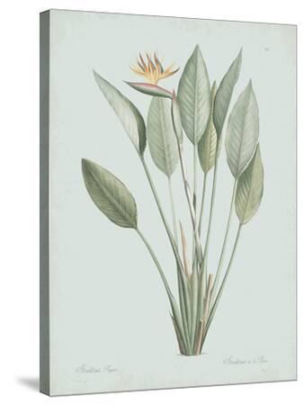 Stretched Canvas Print, , small