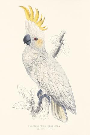 Giclee Print, , small