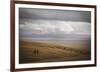 Grassland Grazing-Andrew Geiger-Framed Giclee Print