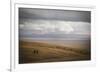 Grassland Grazing-Andrew Geiger-Framed Giclee Print