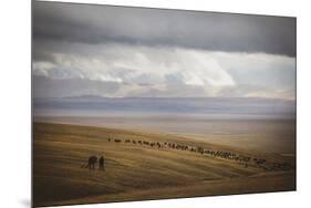 Grassland Grazing-Andrew Geiger-Mounted Giclee Print