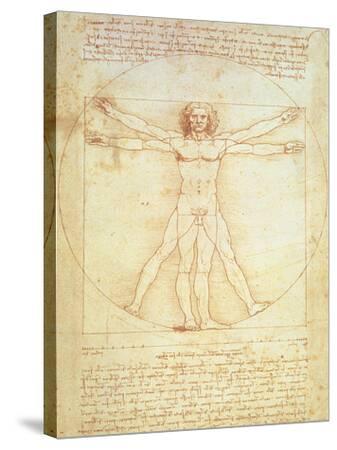 Stretched Canvas Print, , small