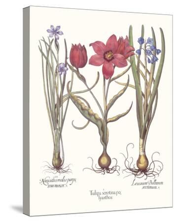 Stretched Canvas Print, , small