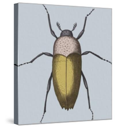 Stretched Canvas Print, , small