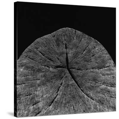 Stretched Canvas Print, , small