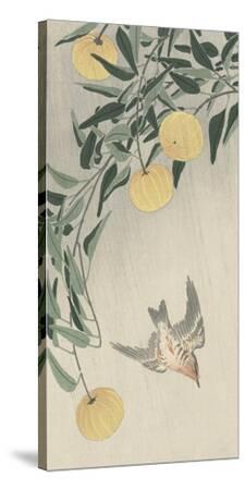 Stretched Canvas Print, , small