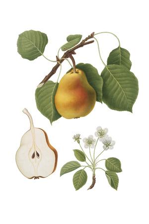 Giclee Print, , small