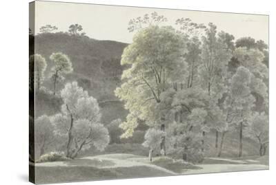 Stretched Canvas Print, , small