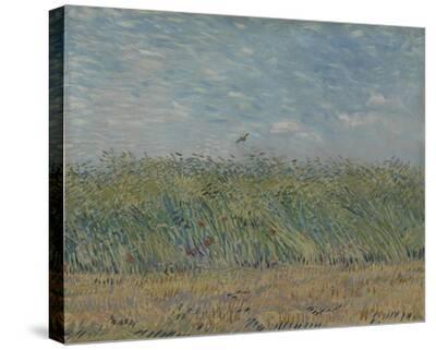 Stretched Canvas Print, , small